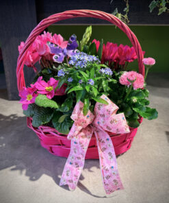 Medium Plant Basket