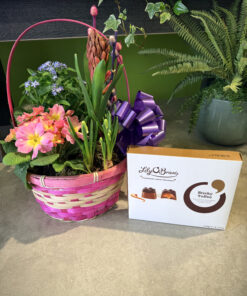 Spring Basket Gift Set