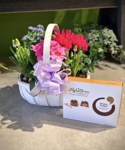 Spring Basket Gift Set